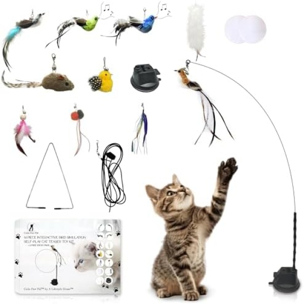 Interactive Bird Simulation Cat Feather Toy Set - Suction Cup Cat Toys