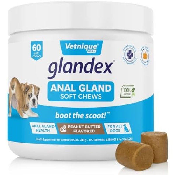 Vetnique Glandex Anal Gland Soft Chew Treats with Pumpkin for Dogs Digestive