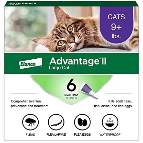 Advantage II Large Cat Vet-Recommended Flea Treatment & Prevention